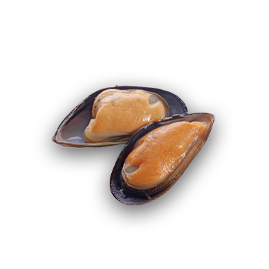 Mussels Half Shell 1KG