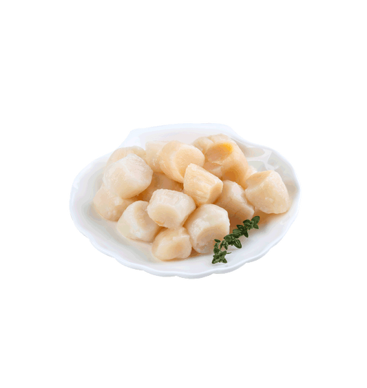 Sea Scallops 1KG