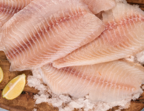 Fillets – Pescado Store