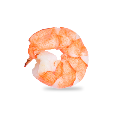 Shrimp 350 GM (Small-Medium-King)